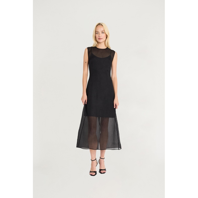 Lily|METEORITE|Standard