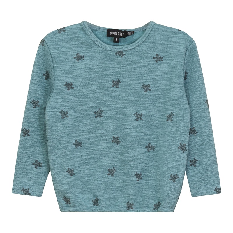 Turtle Printed Sweatshirt|Seafoam|3|4|5|6|7|8