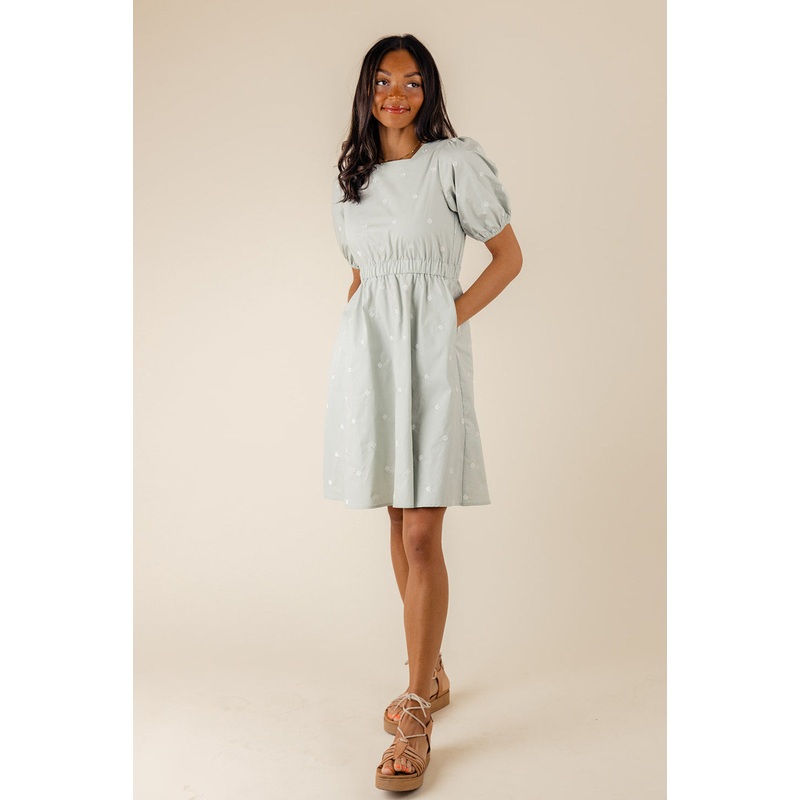 Picture Perfect Embroidered Dress