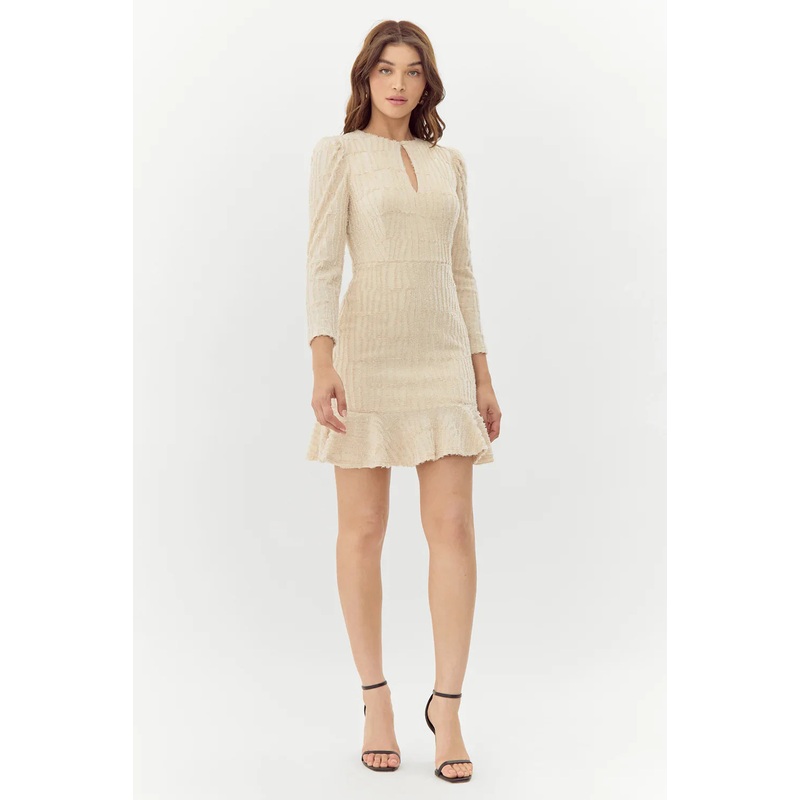 Jocelyn Burnout Knit Mini Dress