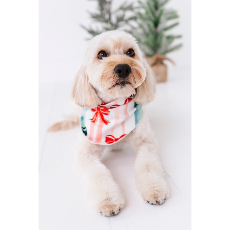 Bows | DOG BANDANNA|X-SMALL DOG (*SHIPS NOV 5-25th)|SMALL DOG (*SHIPS NOV 5-25th)|MEDIUM DOG (*SHIPS NOV 5-25th)|LARGE DOG (*SHIPS NOV 5-25th)