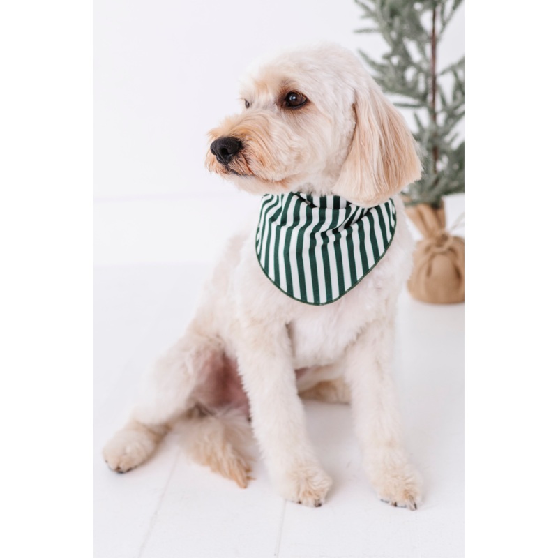 Green Stripes | DOG BANDANNA|X-SMALL DOG (*SHIPS NOV 5-25th)|SMALL DOG (*SHIPS NOV 5-25th)|MEDIUM DOG (*SHIPS NOV 5-25th)|LARGE DOG (*SHIPS NOV 5-25th)