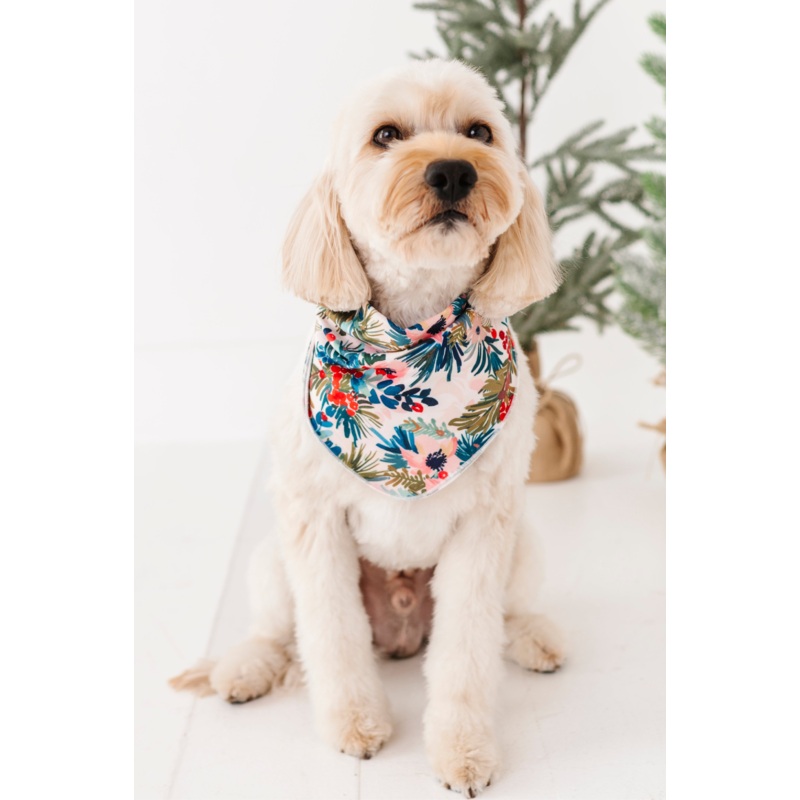 Holly Floral | DOG BANDANNA|X-SMALL DOG (*SHIPS NOV 5-25th)|SMALL DOG (*SHIPS NOV 5-25th)|MEDIUM DOG (*SHIPS NOV 5-25th)|LARGE DOG (*SHIPS NOV 5-25th)