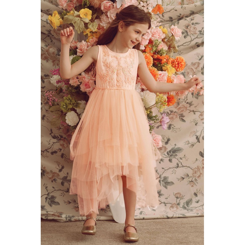 Whimsical Layered Tulle Toddler Dress