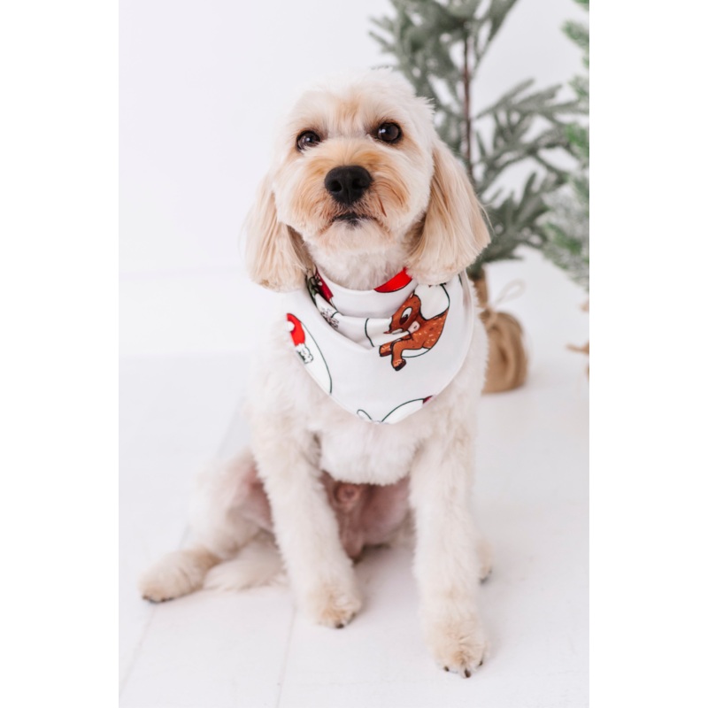 Classic Characters | DOG BANDANNA
