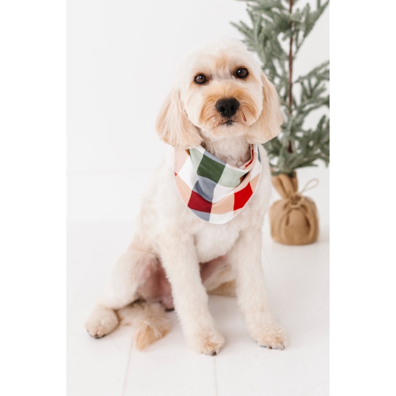 Holiday Plaid | DOG BANDANNA|X-SMALL DOG (*SHIPS NOV 5-25th)|SMALL DOG (*SHIPS NOV 5-25th)|MEDIUM DOG (*SHIPS NOV 5-25th)|LARGE DOG (*SHIPS NOV 5-25th)