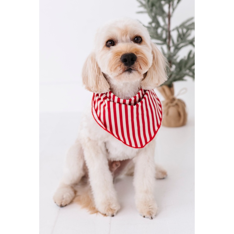 Red Stripes | DOG BANDANNA|X-SMALL DOG (*SHIPS NOV 5-25th)|SMALL DOG (*SHIPS NOV 5-25th)|MEDIUM DOG (*SHIPS NOV 5-25th)|LARGE DOG (*SHIPS NOV 5-25th)