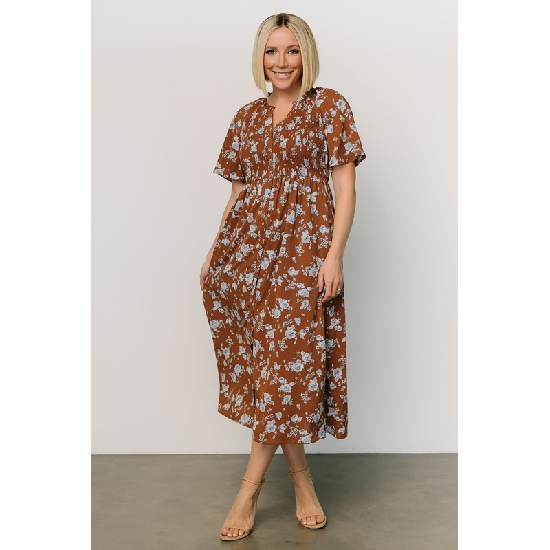 Botega Midi Dress | Brown + Blue