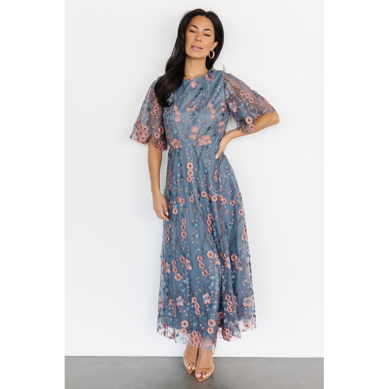 Arabella Embroidered Tulle Maxi Dress | Blue + Pink